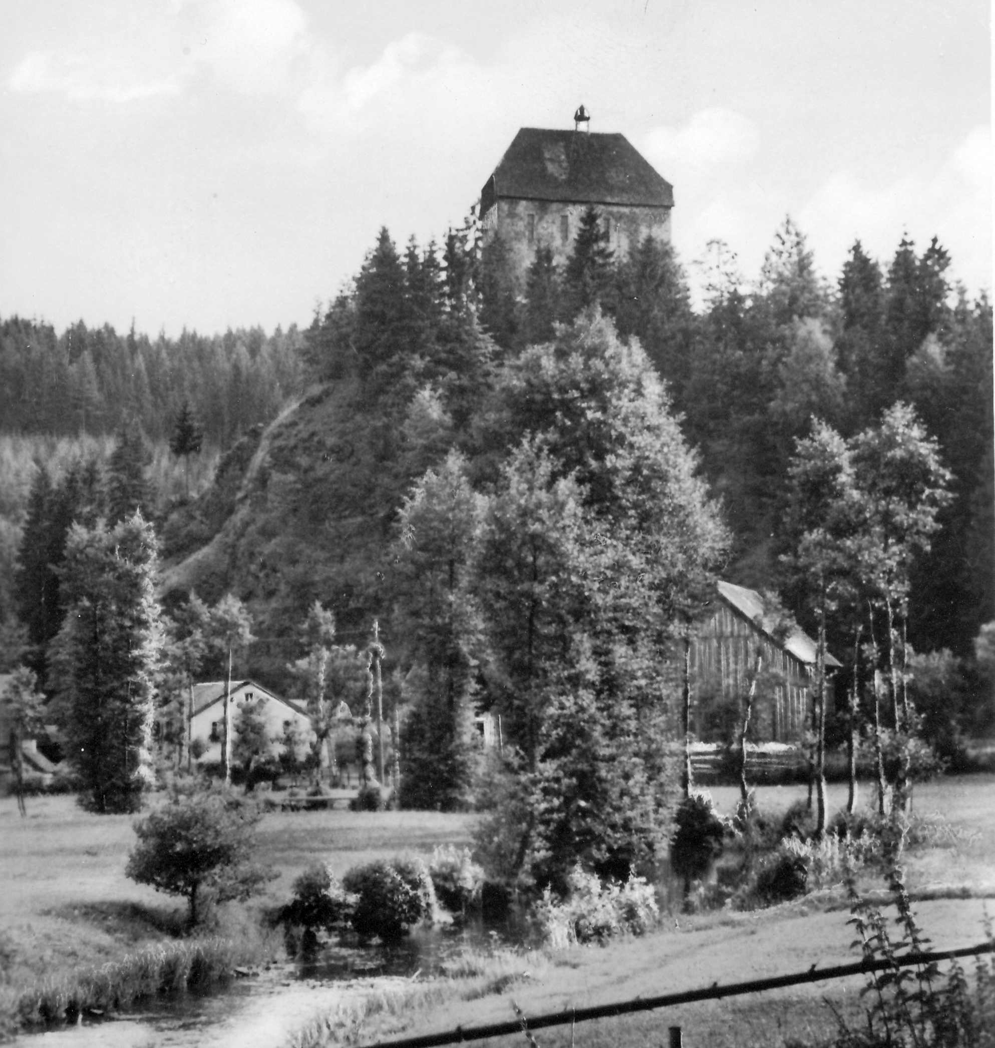 Ruine Stein mit Mühle um 1910